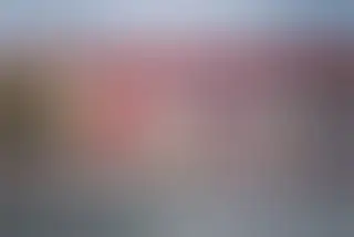 Zabłudów: Pochylone drzewo nad drogą. Trwa akcja służb