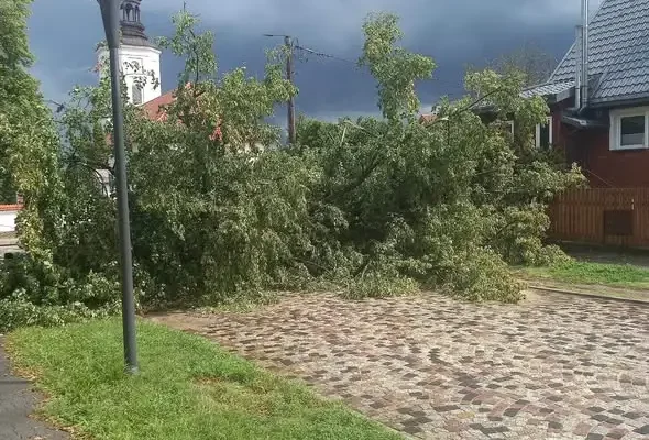Nawałnica nad Supraślem. Strażacy usuwają skutki wichury