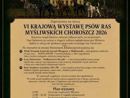 Wystawa psów myśliwskich i zaprzęgowych w Choroszczy – atrakcje dla całych rodzin