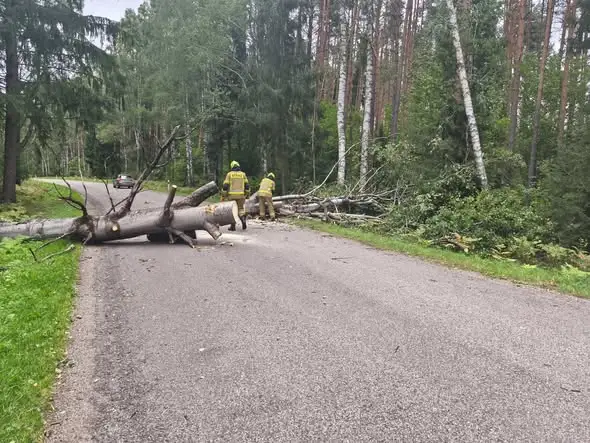 Siedem interwencji strażaków z Michałowa po wichurach w Podlaskiem