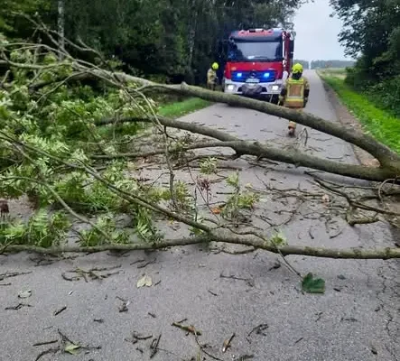 Silny wiatr w gminie Poświętne – strażacy usuwali skutki trzech interwencji