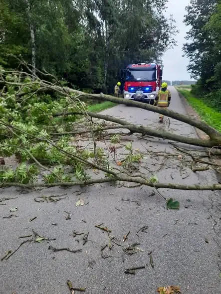 Silny wiatr w gminie Poświętne – strażacy usuwali skutki trzech interwencji