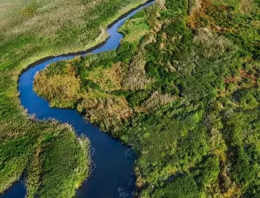 Wsparcie dla przedsiębiorców przy szlaku Pisa-Narew – bezpłatny wpis i preferencyjne pożyczki