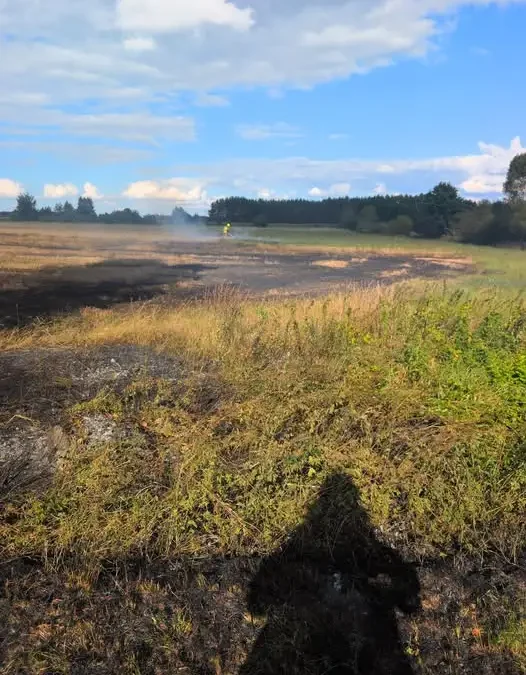 Pożar rzyska w Turośni Kościelnej – interwencja OSP
