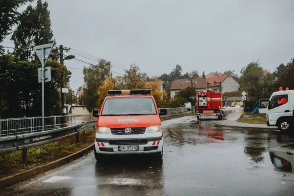 Powalone drzewo na DK65 w Dobrzyniewie Dużym – interwencja strażaków