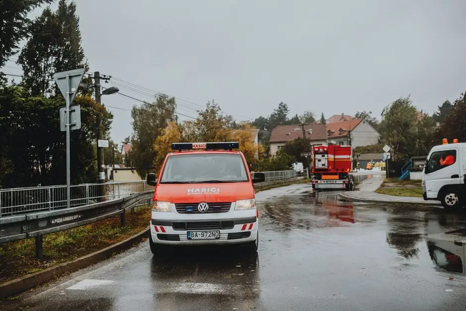 Powalone drzewo na DK65 w Dobrzyniewie Dużym – interwencja strażaków