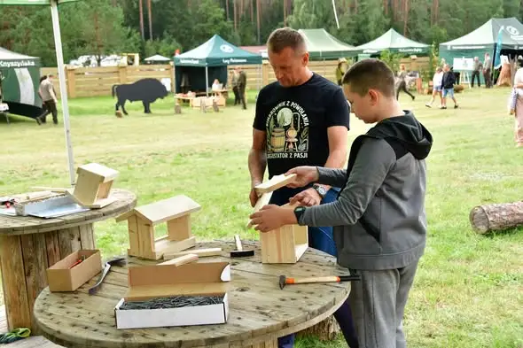 Drewno na pikniku: budki lęgowe i karmniki dla ptaków w Kopnej Górze