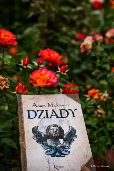 Narodowe Czytanie 2026 w Różance: „Dziady” Mickiewicza wśród białostockich róż