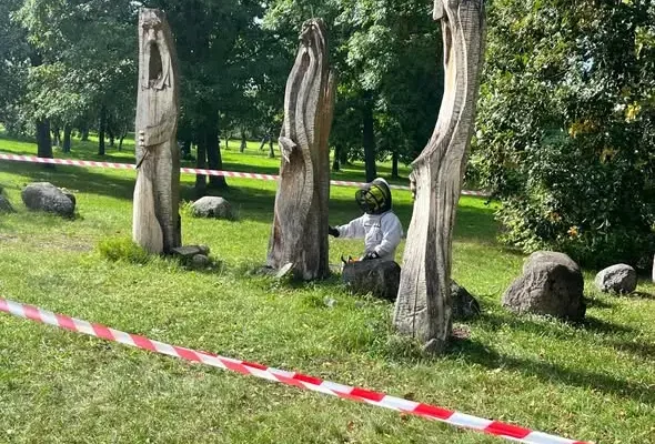 OSP Supraśl usuwała gniazdo szerszeni z rzeźby przy liceum