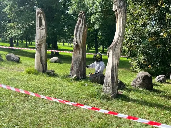 OSP Supraśl usuwała gniazdo szerszeni z rzeźby przy liceum