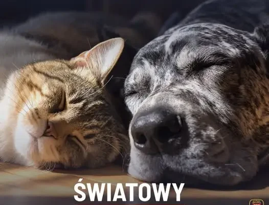Światowy Dzień Zwierząt w Białymstoku: Ekopatrol apeluje o czujność