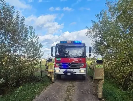 Silny wiatr w Wasilkowie. Strażacy z OSP usuwali powalone drzewa z dwóch ulic