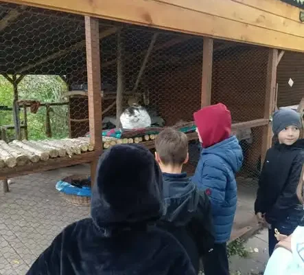Uczniowie klas 1b i 3a podsumowali zbiórkę karmy dla zwierząt i odwiedzili Kocie Ranczo