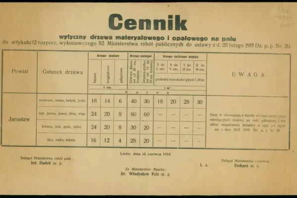 Ceny drewna w 1919 roku – leśna historia z województwa lwowskiego
