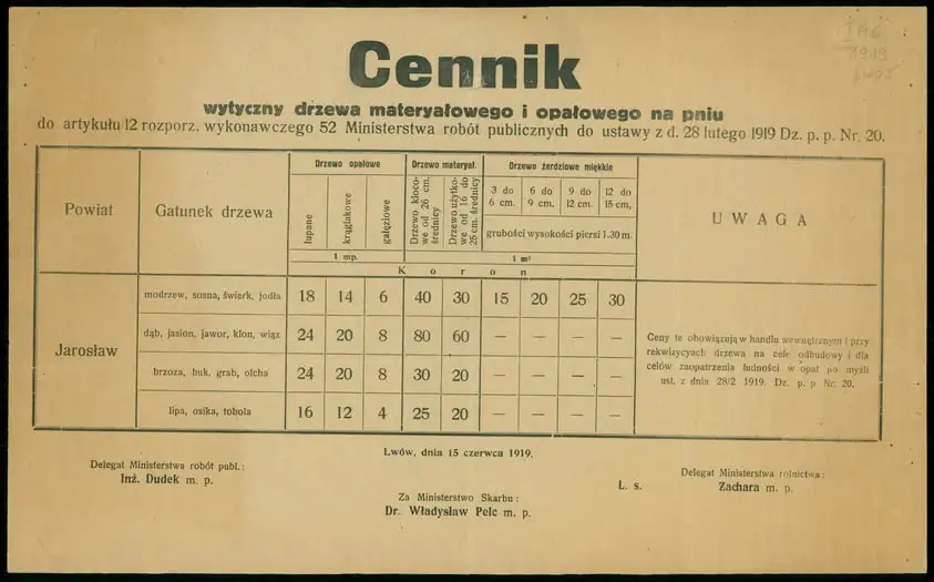 Ceny drewna w 1919 roku – leśna historia z województwa lwowskiego
