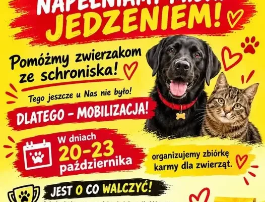 Szkoła Podstawowa nr 1 w Białymstoku zbiera karmę dla zwierząt