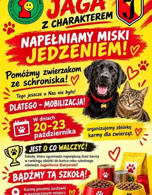 Szkoła Podstawowa nr 1 w Białymstoku zbiera karmę dla zwierząt