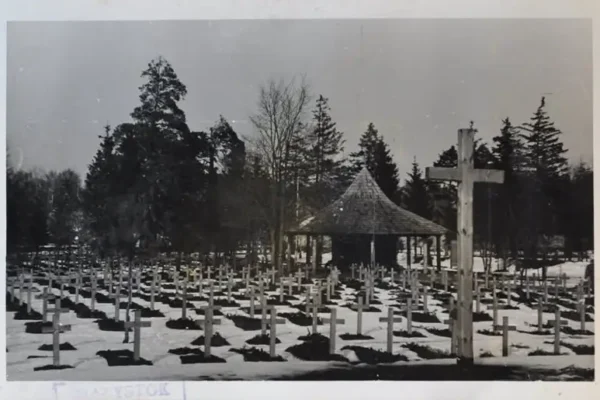 Zapomniany cmentarz niemiecki w Zwierzyńcu – historia, którą warto poznać