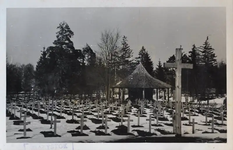 Zapomniany cmentarz niemiecki w Zwierzyńcu – historia, którą warto poznać