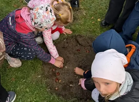 Tulipany Mocy 2026: 200 cebulek i 960 zł dla chorych dzieci