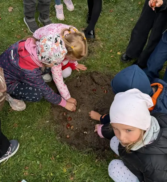 Tulipany Mocy 2026: 200 cebulek i 960 zł dla chorych dzieci