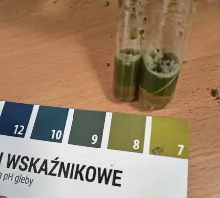 Czwartoklasiści odkrywali tajemnice gleby podczas zajęć terenowych