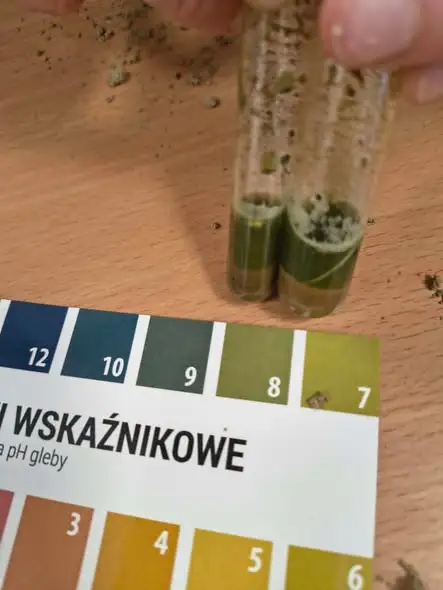 Czwartoklasiści odkrywali tajemnice gleby podczas zajęć terenowych
